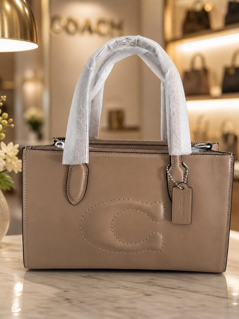 Coach Nina Taupe Leather Small Tote NWT